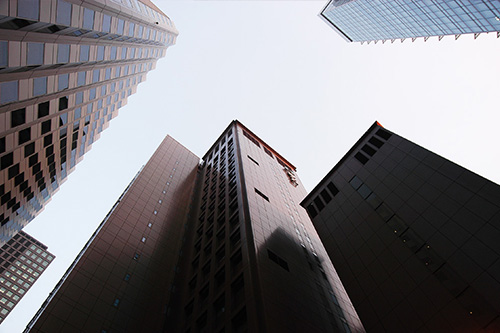 山東國(guó)稅網(wǎng)上報(bào)稅平臺(tái)是哪個(gè)